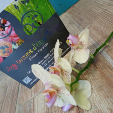 fleuriste le temps d'une fleur