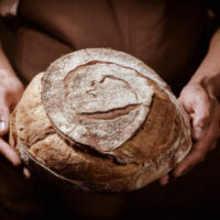 miche de pain dans les mains du boulanger