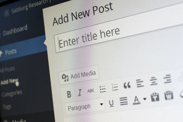 ajout d'article sur wordpress - capture d'écran