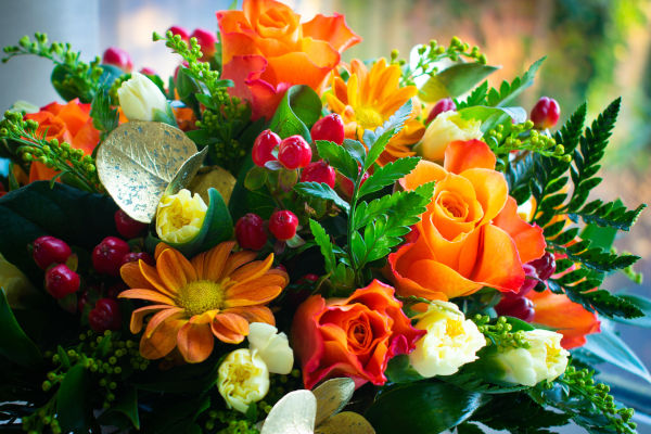 gros plan sur un bouquet de fleurs orangées