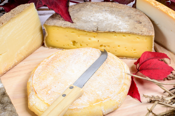 Masterclasse : connaissances et culinarité des fromages de savoie