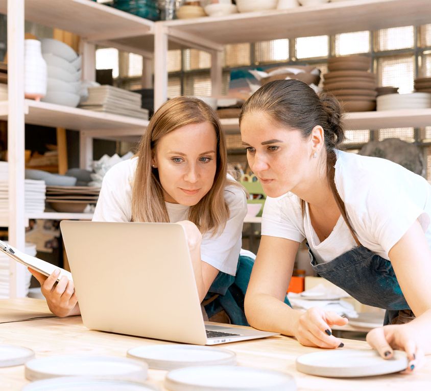 Titre Professionnel Responsable de Petite et Moyenne Structure (RPMS)